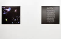 IV Moscow Biennale of Contemporary Art. Gallery MARS. Special project «Anthropology of Future»<br>(c)2012